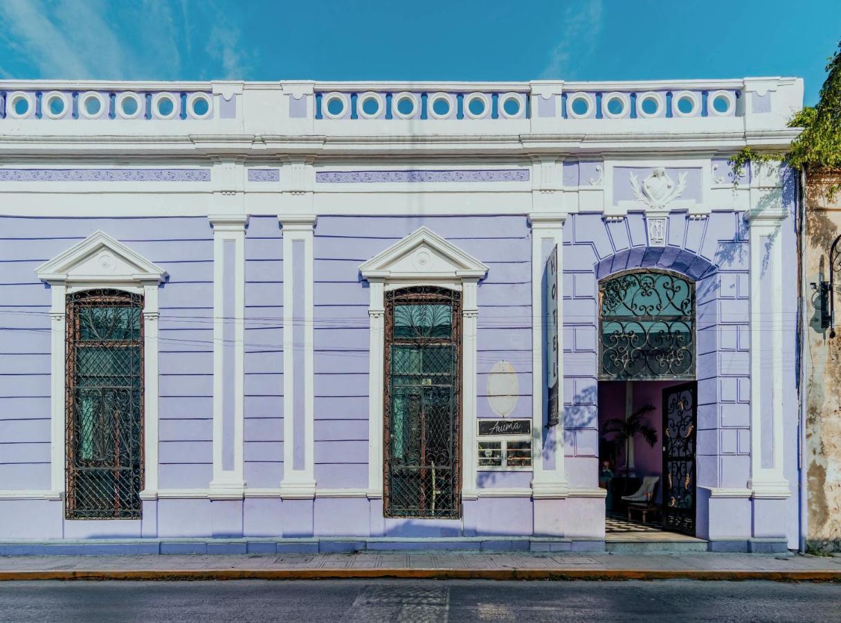 Hotel Lavanda Cas Mérida Εξωτερικό φωτογραφία Casa Paoli